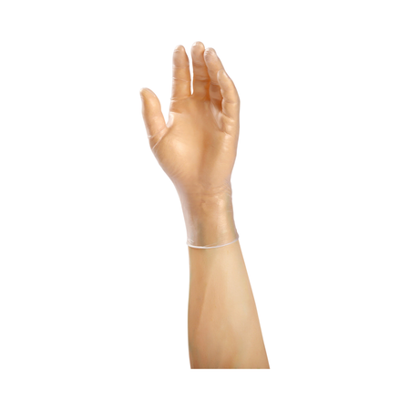 Large Clear Vinyl Glove, Powder-Free