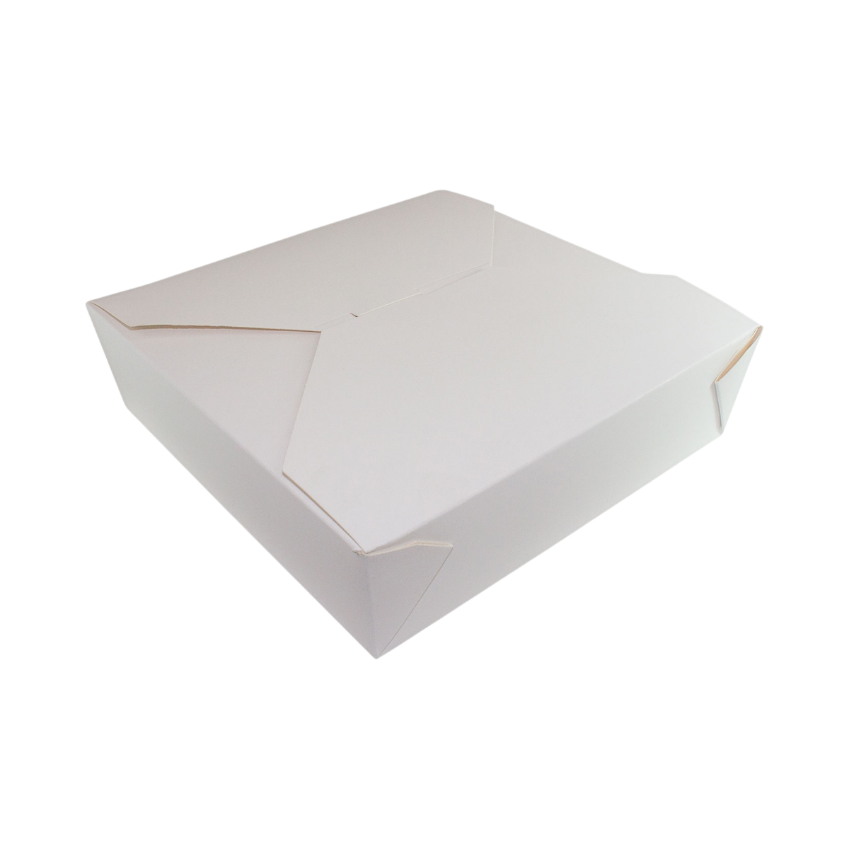 #5 White Paper Box